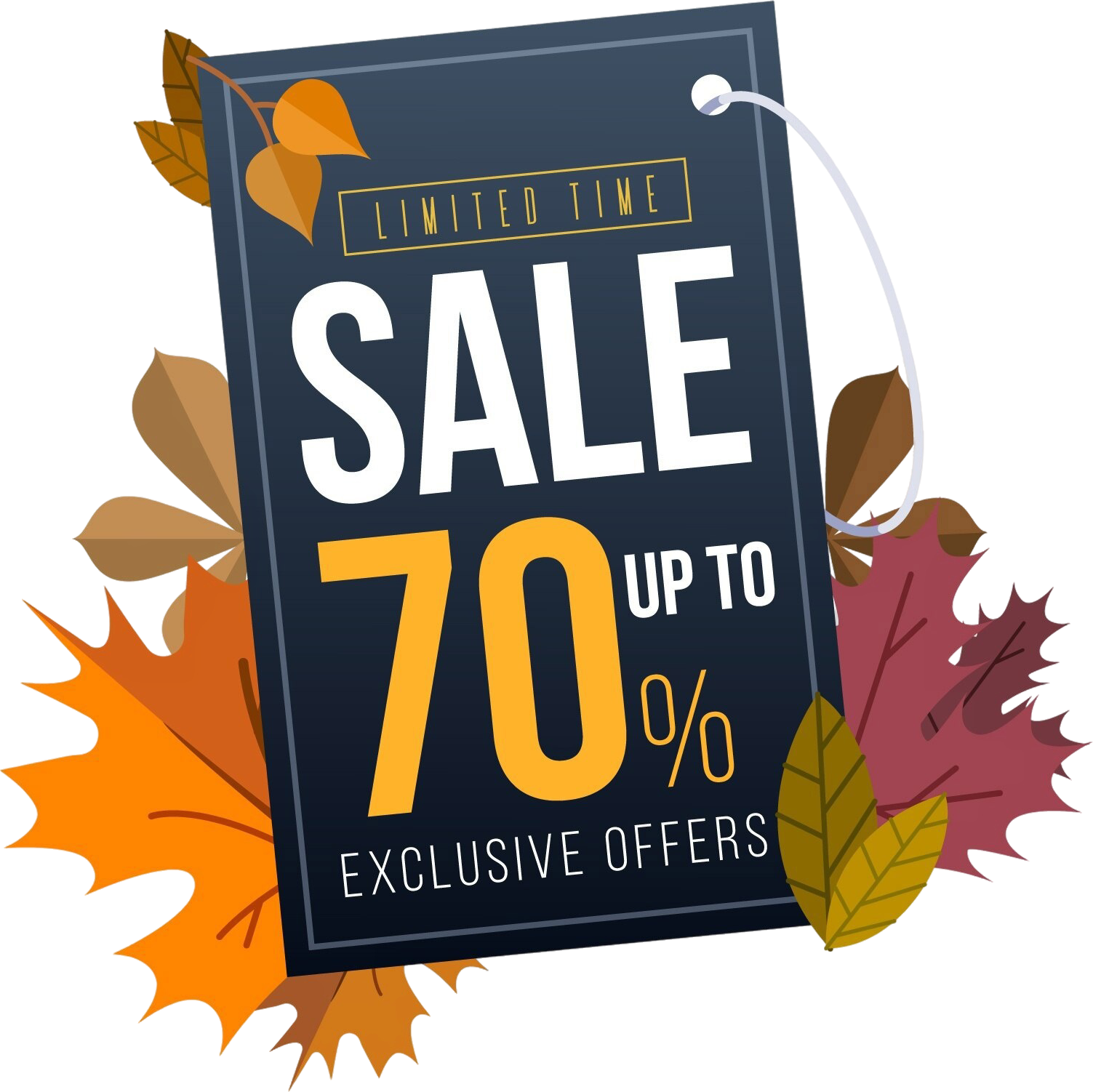 Limited time sale - up to 70% off exclusive offers